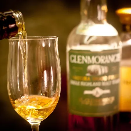 فندق غاستهوف ميتريغر 3*