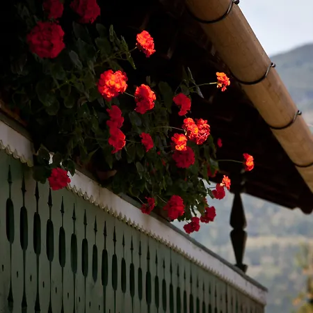 Mitteregger - Place In Town Kaprun