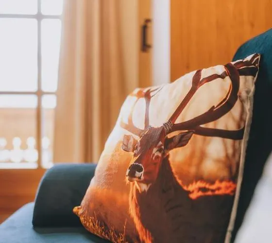 فندق غاستهوف ميتريغر فندق