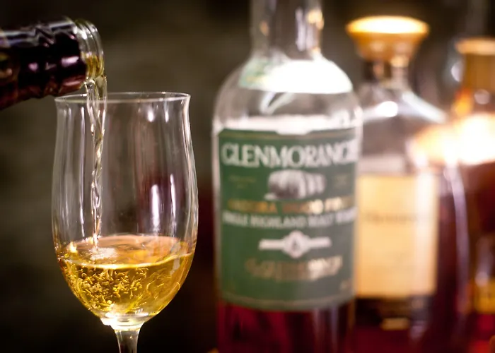 فندق فندق غاستهوف ميتريغر كابرون