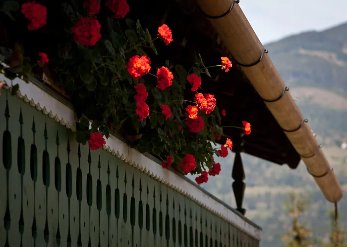 فندق غاستهوف ميتريغر كابرون