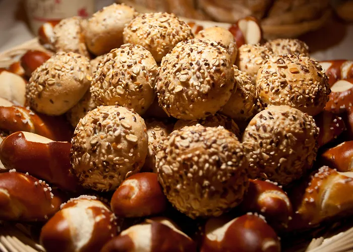 فندق غاستهوف ميتريغر 3*